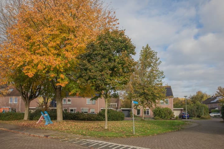 Foto 2 van Rietveld 10