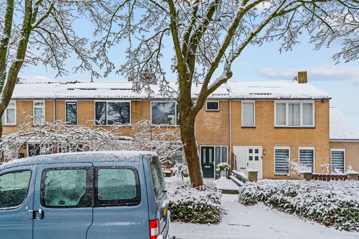 Photo 29 of Mendes da Costalaan 74