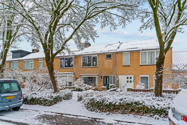 Photo 30 of Mendes da Costalaan 74