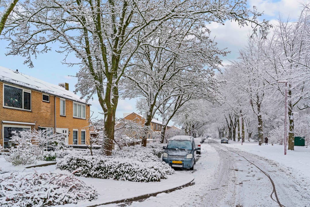 Photo 31 of Mendes da Costalaan 74