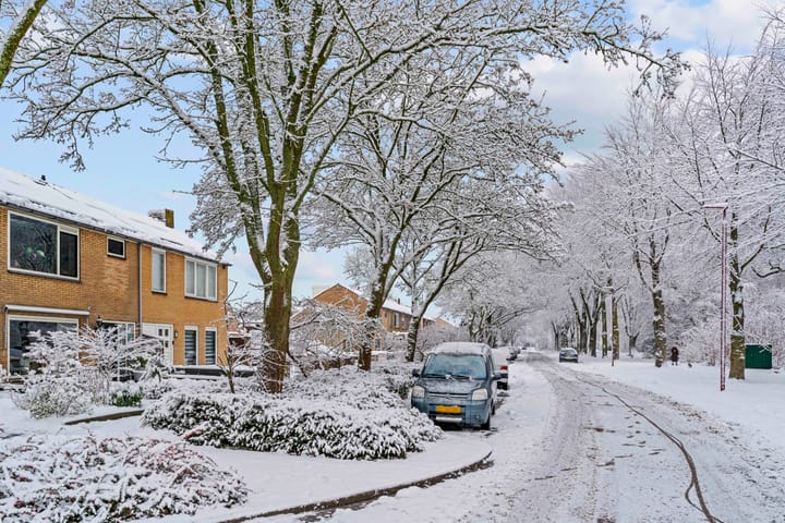 Photo 31 of Mendes da Costalaan 74