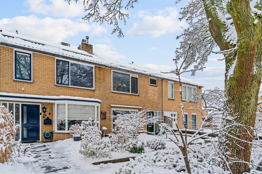 Photo 32 of Mendes da Costalaan 74