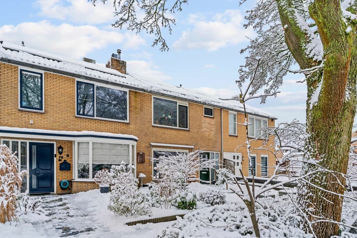 Photo 32 of Mendes da Costalaan 74