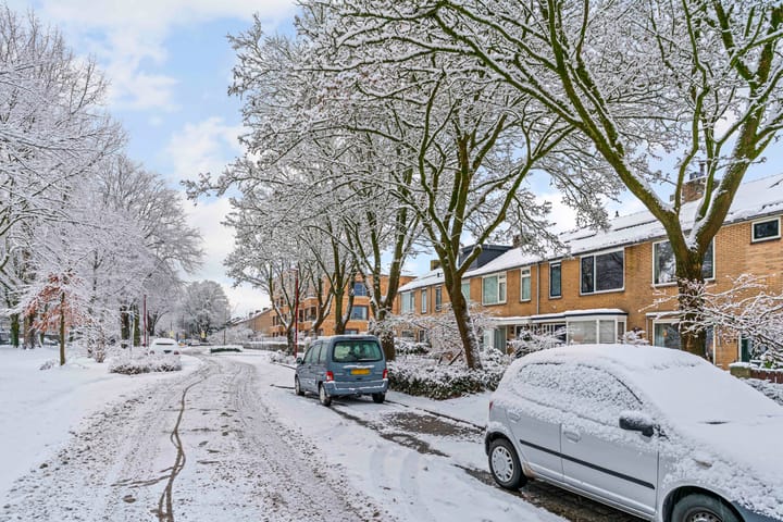 Photo 36 of Mendes da Costalaan 74