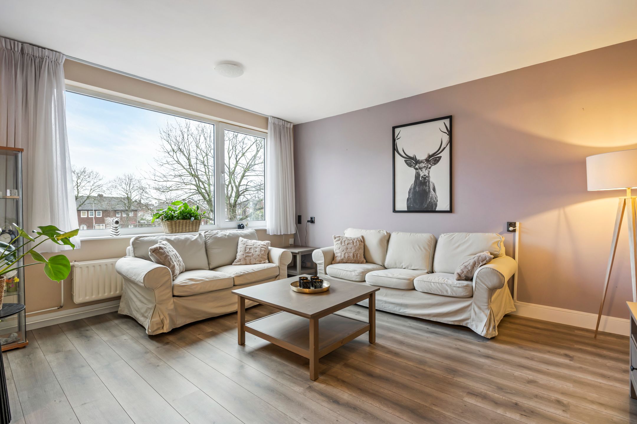 Photo 6 of Onze Lieve Vrouweplein 14