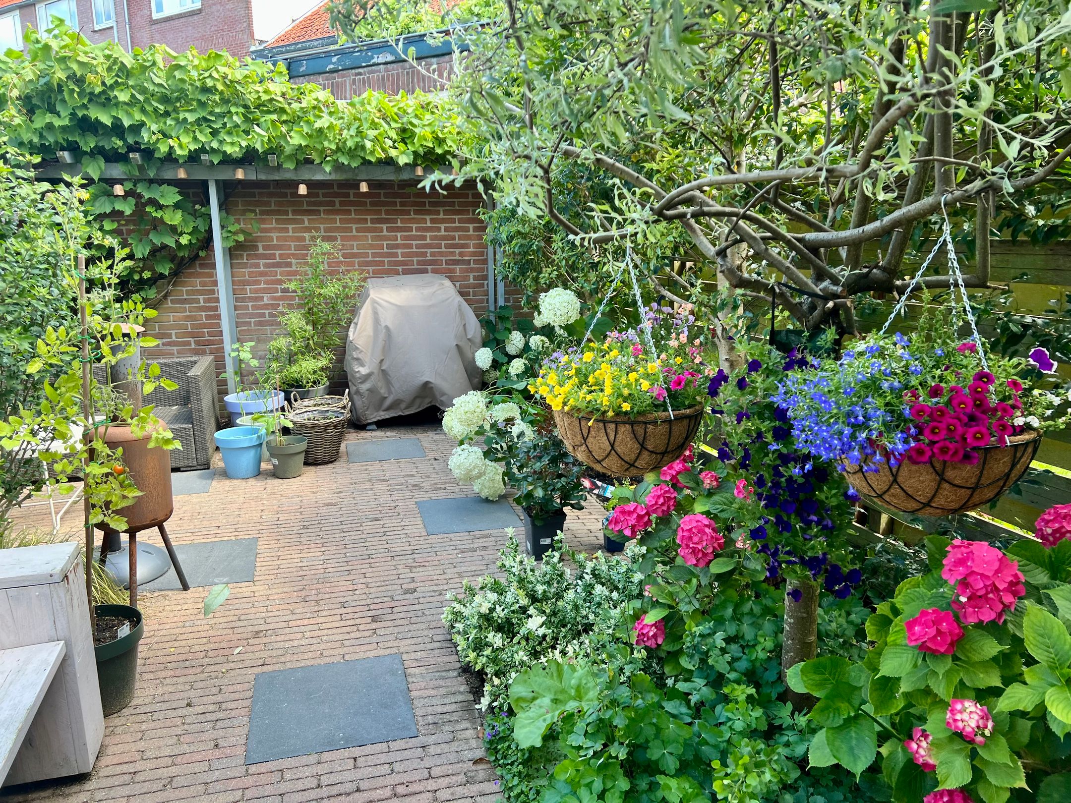 Foto 27 van Van Oosten de Bruijnstraat 191