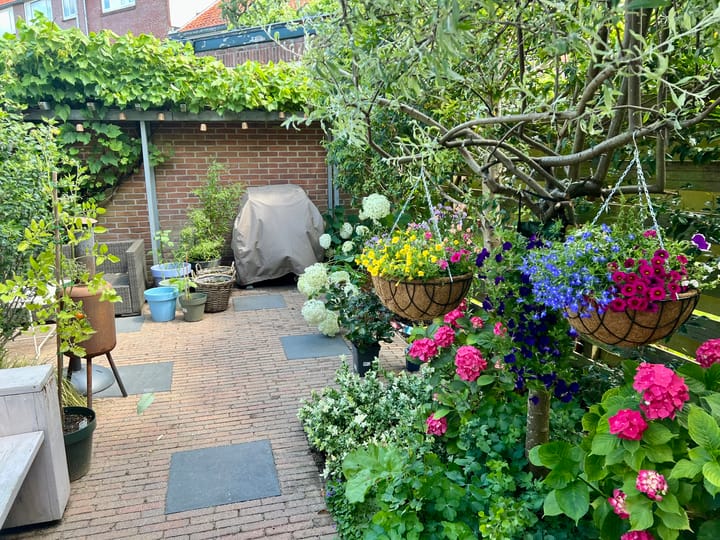 Foto 27 van Van Oosten de Bruijnstraat 191