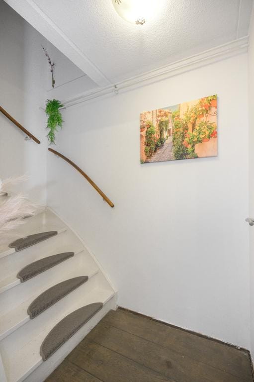 Foto 6 van Gipskruidweg 38