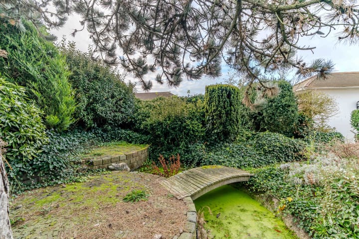 Foto 26 van Scheveningselaan 148