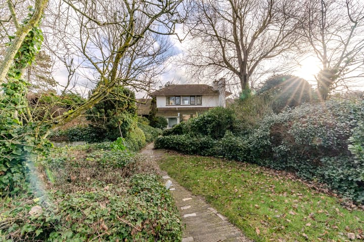 Foto 61 van Scheveningselaan 148