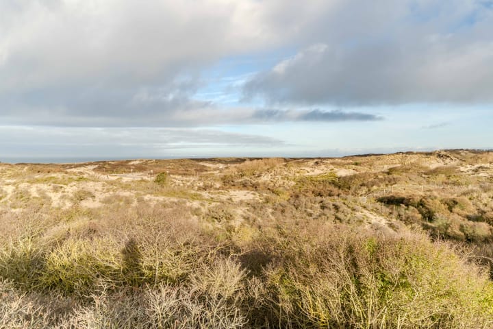 Foto 64 van Scheveningselaan 148