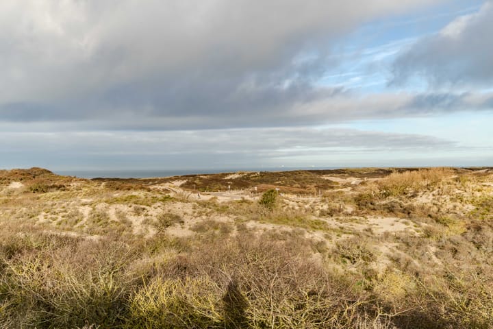 Foto 66 van Scheveningselaan 148