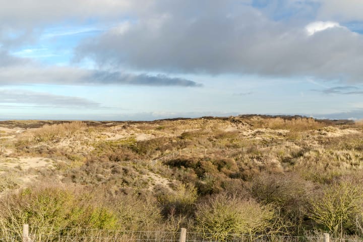 Foto 68 van Scheveningselaan 148