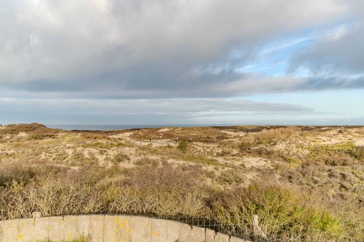 Foto 69 van Scheveningselaan 148