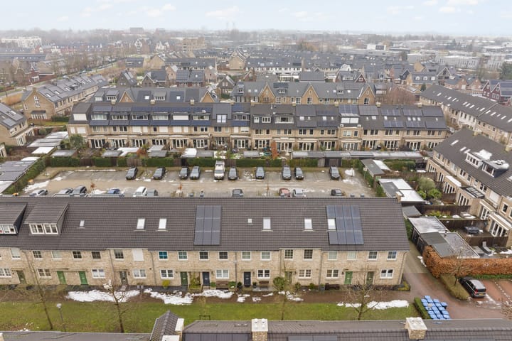 Foto 6 van Pioenroos 18