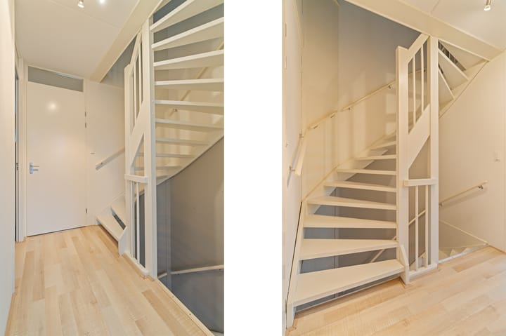 Foto 18 van Pioenroos 18