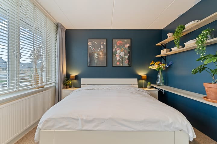 Foto 20 van Pioenroos 18