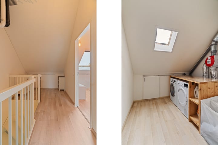 Foto 27 van Pioenroos 18