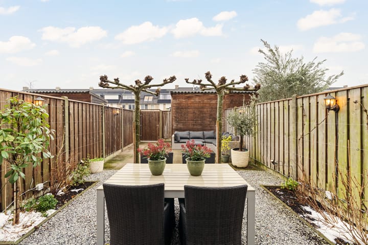 Foto 30 van Pioenroos 18