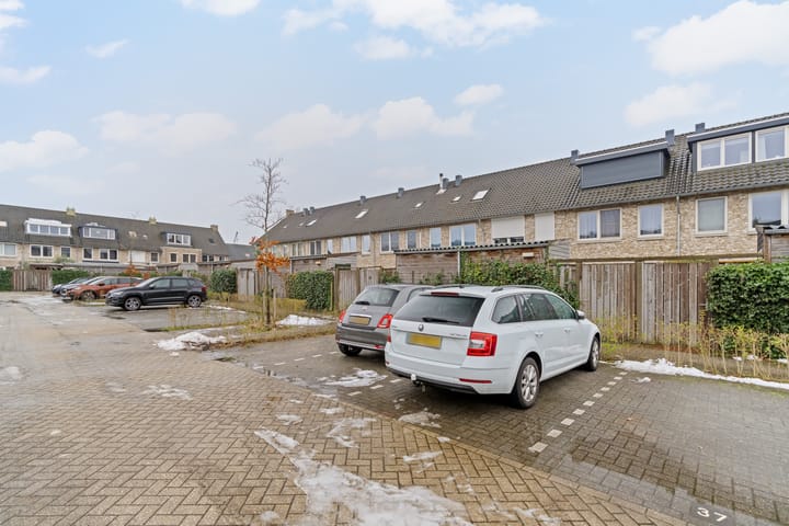 Foto 34 van Pioenroos 18