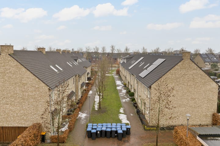 Foto 36 van Pioenroos 18