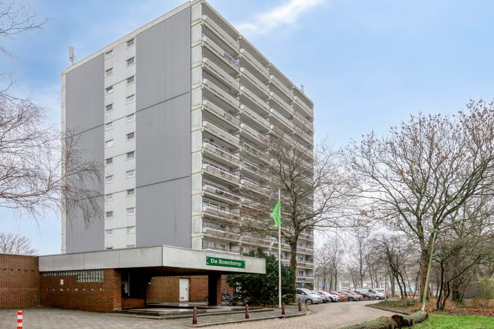 Foto 2 van De Roerdomp 72