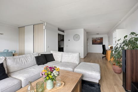 De Roerdomp thumbnail