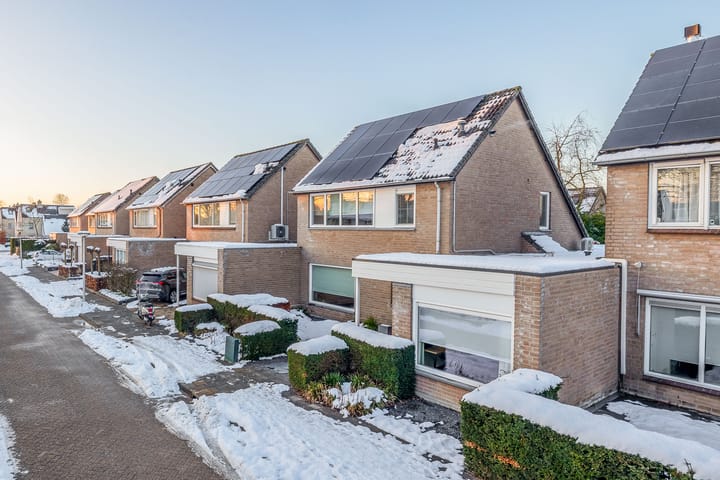 Foto 52 van Hondsruglaan 24