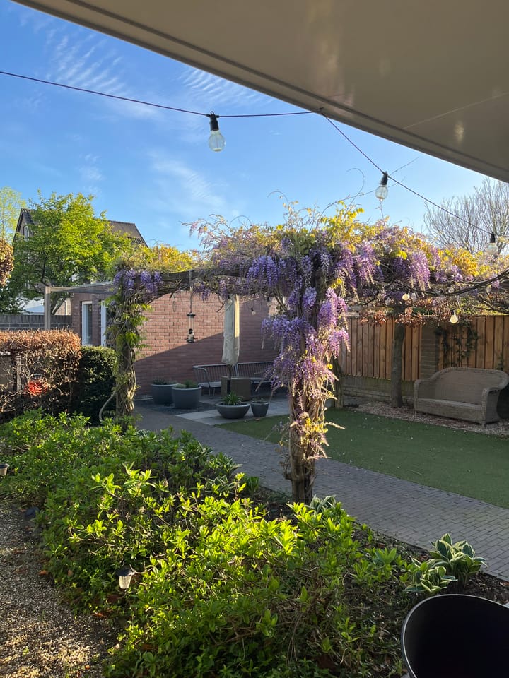 Foto 48 van Hondsruglaan 24