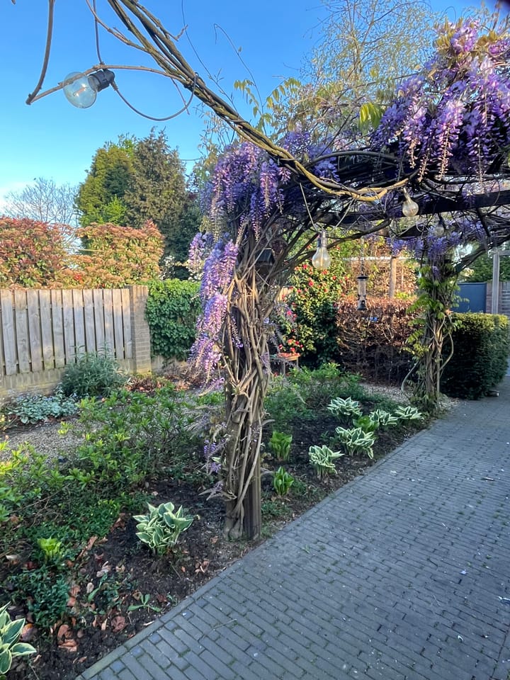 Foto 49 van Hondsruglaan 24