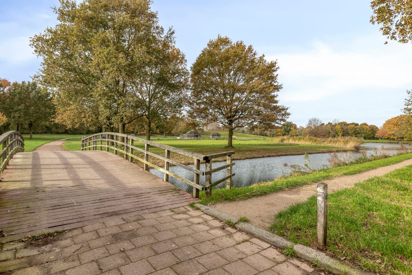 Foto 35 van Van Schaikstraat 5