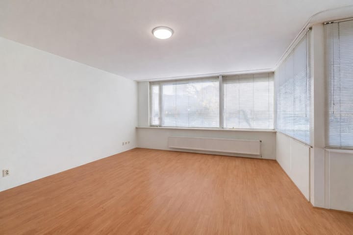 Foto 8 van Zuidersingel 188