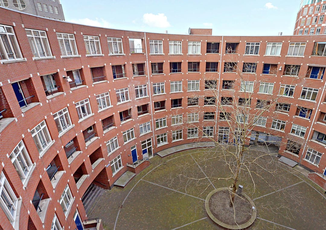 Photo 2 of Clioplein 31