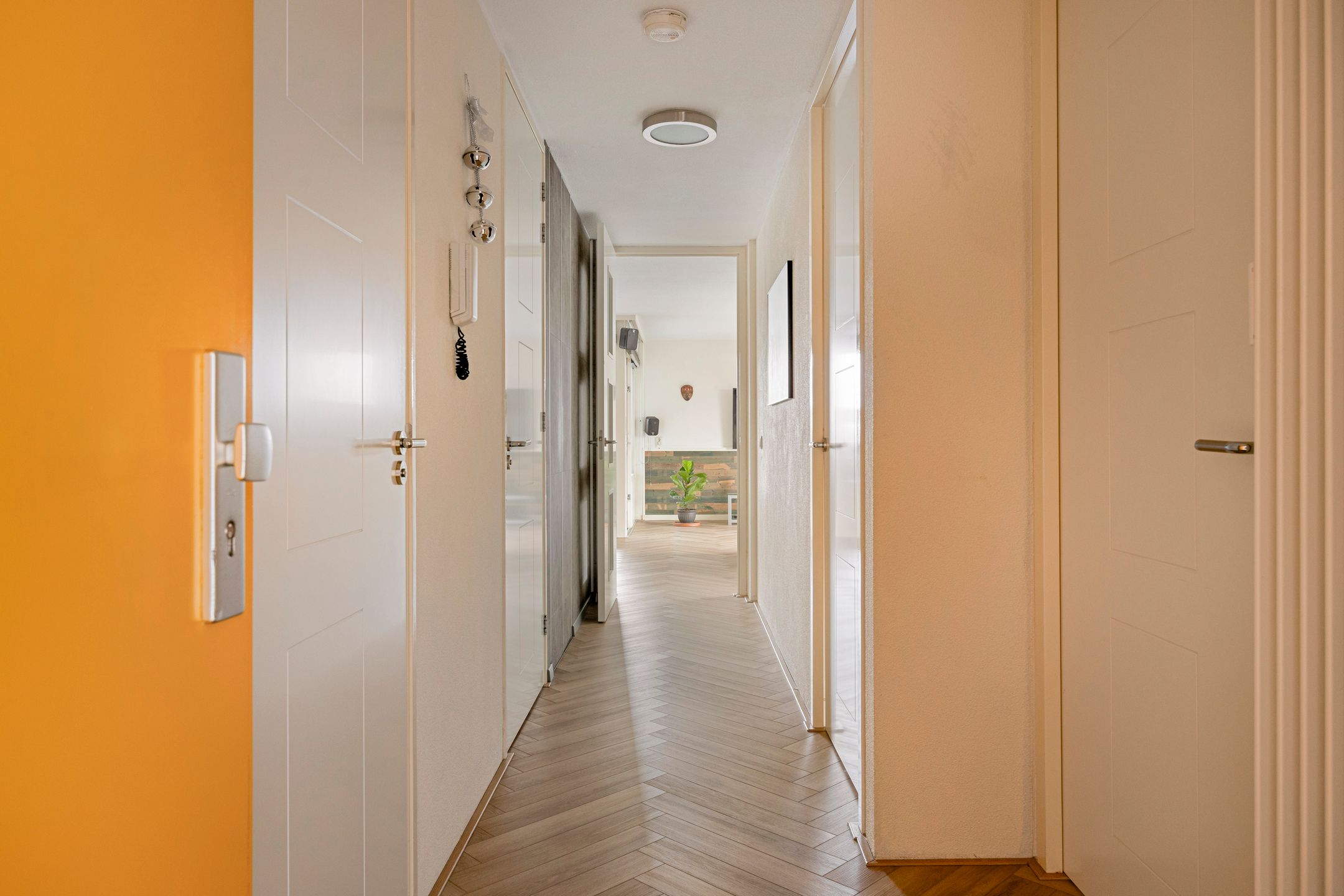 Foto 12 van Schaapskuilmeer 171