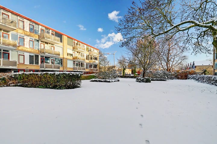 Foto 25 van Van Anrooystraat 155