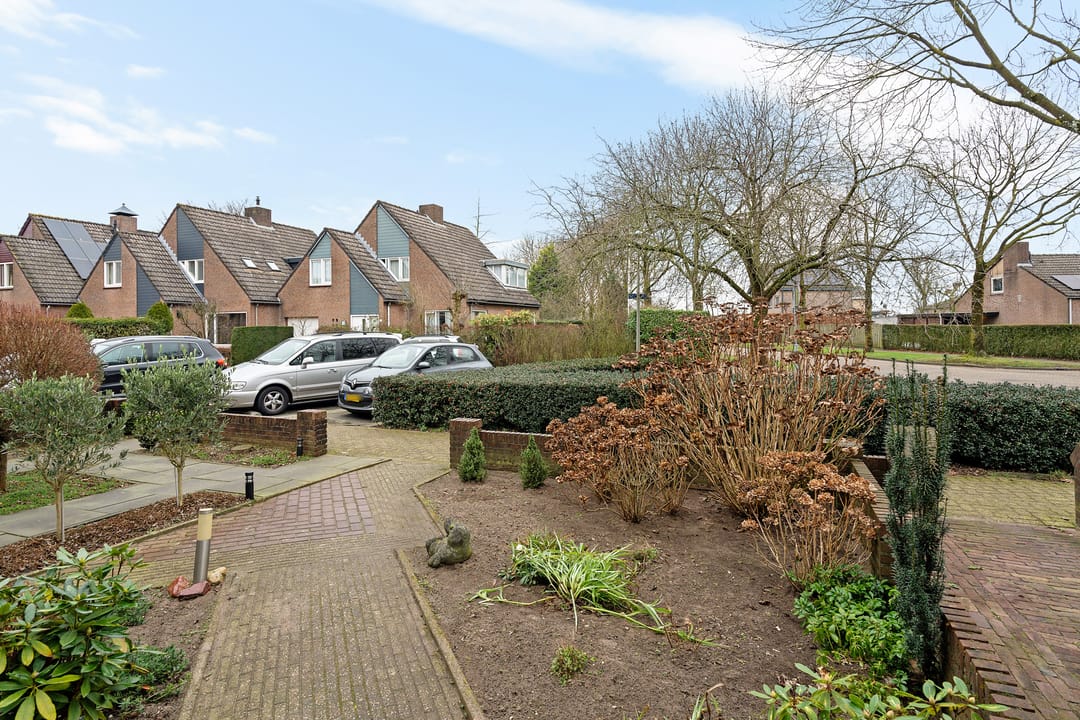 Foto 7 van Wolvepad 42