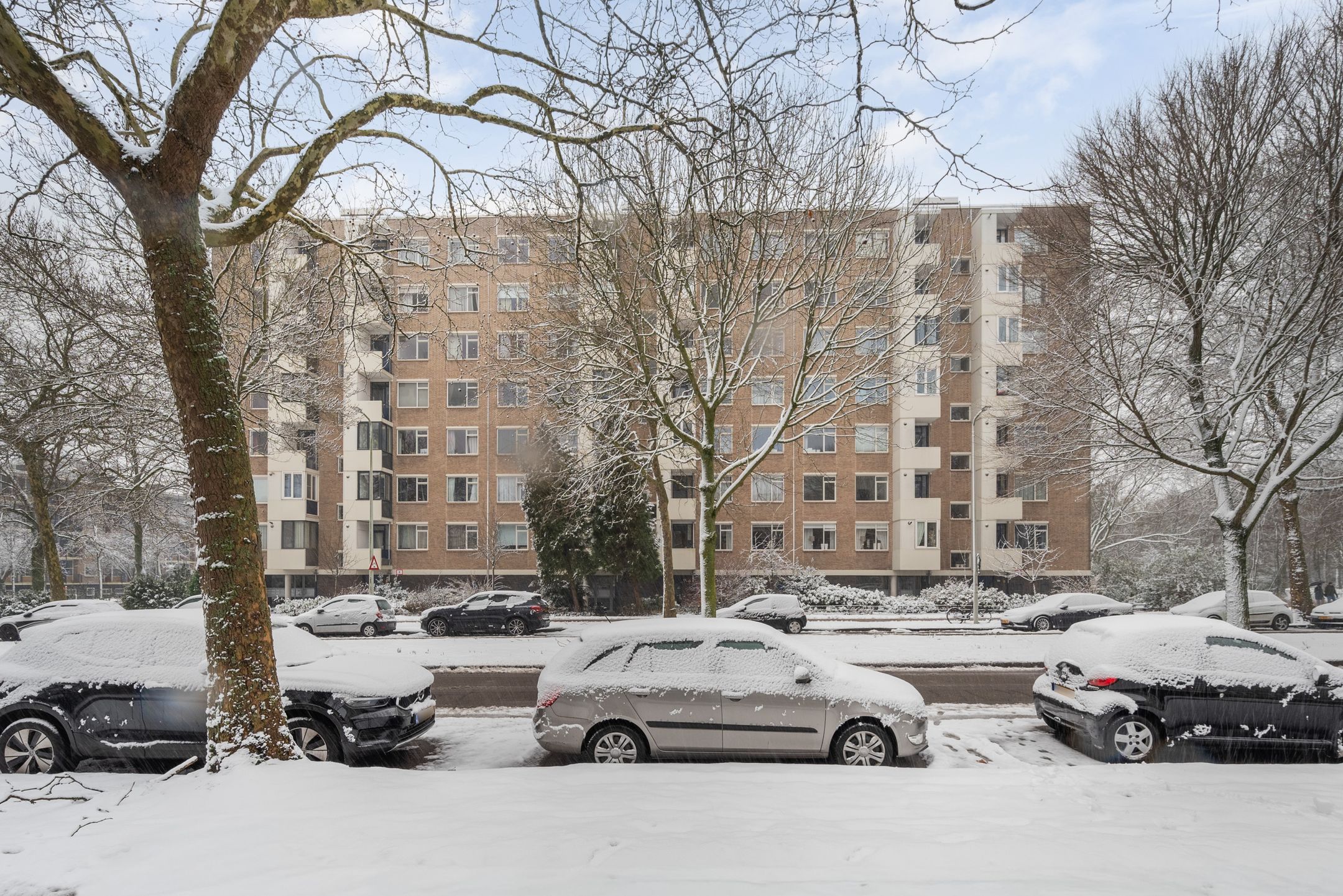 Photo 6 of Vlaskamp 638