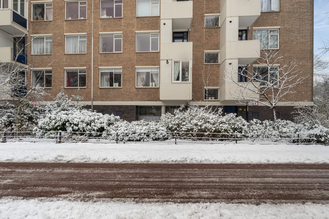 Photo 7 of Vlaskamp 638