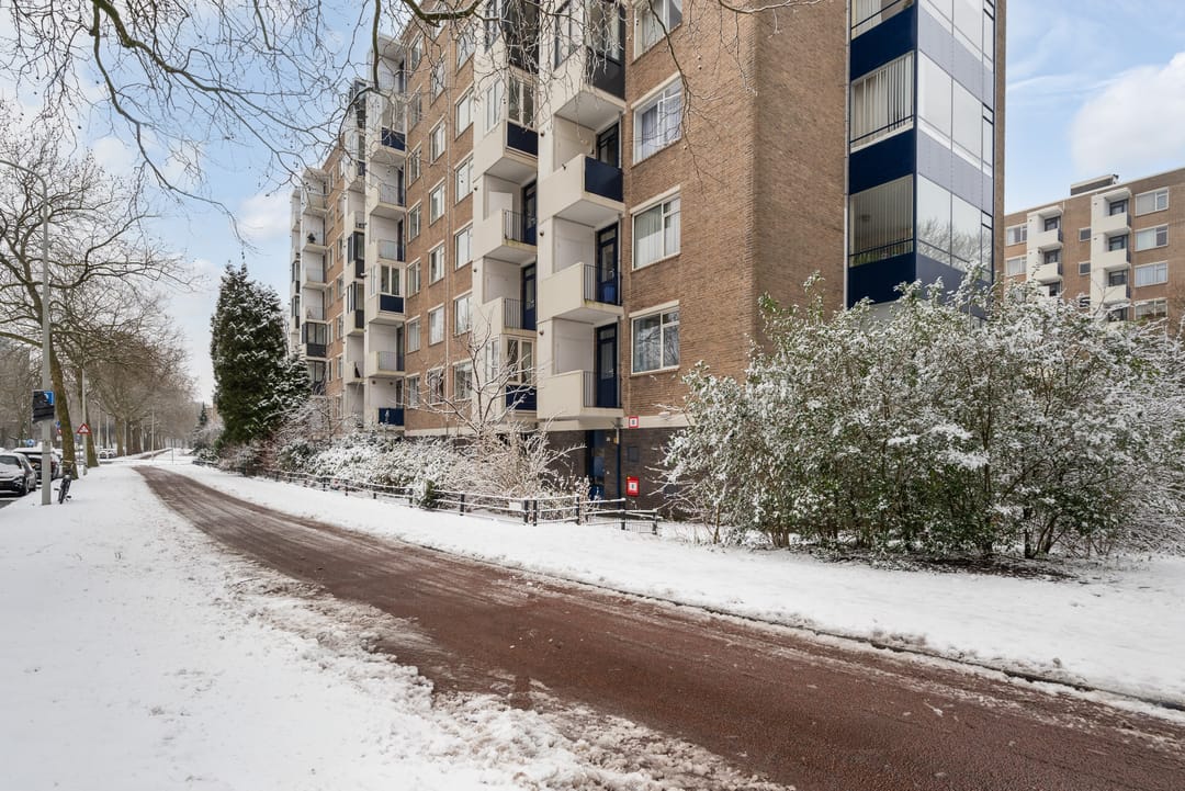 Photo 8 of Vlaskamp 638