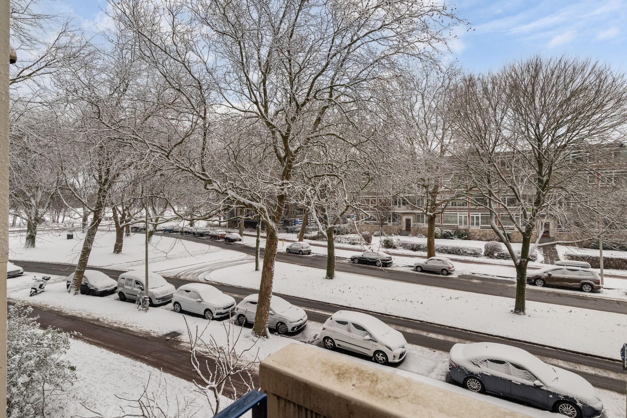 Photo 30 of Vlaskamp 638