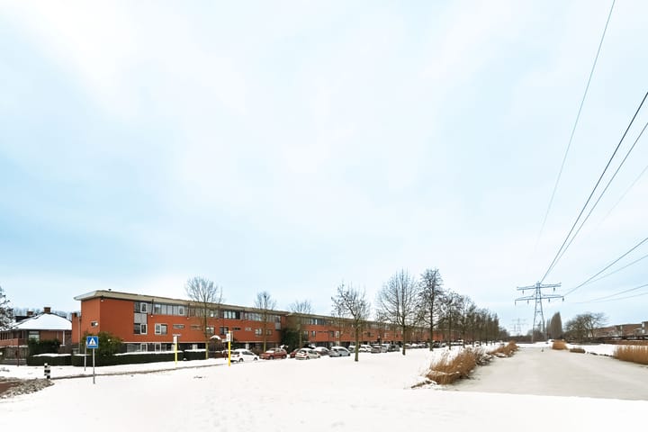 Photo 24 of Pieter de Hooghhage 3