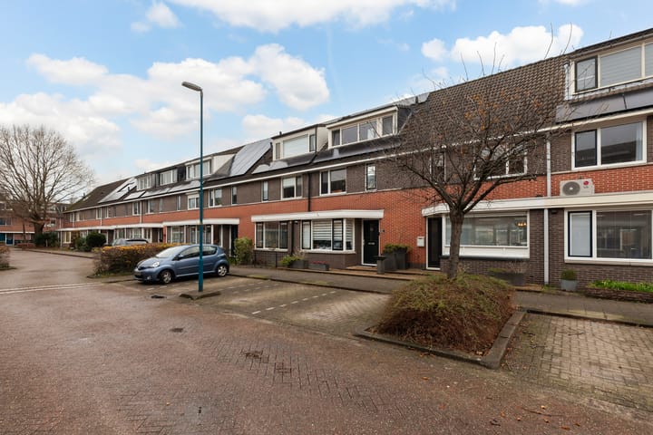 Foto 39 van Robijn 9