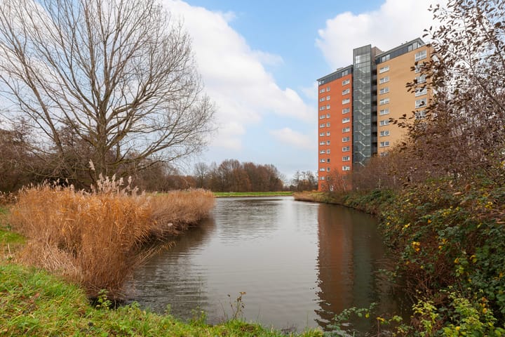 Foto 42 van Robijn 9