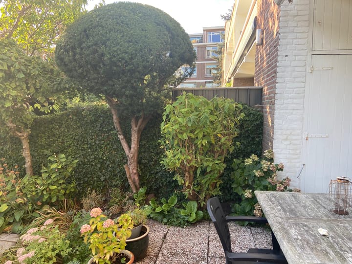 Foto 29 van Pinksterbloemplein 53