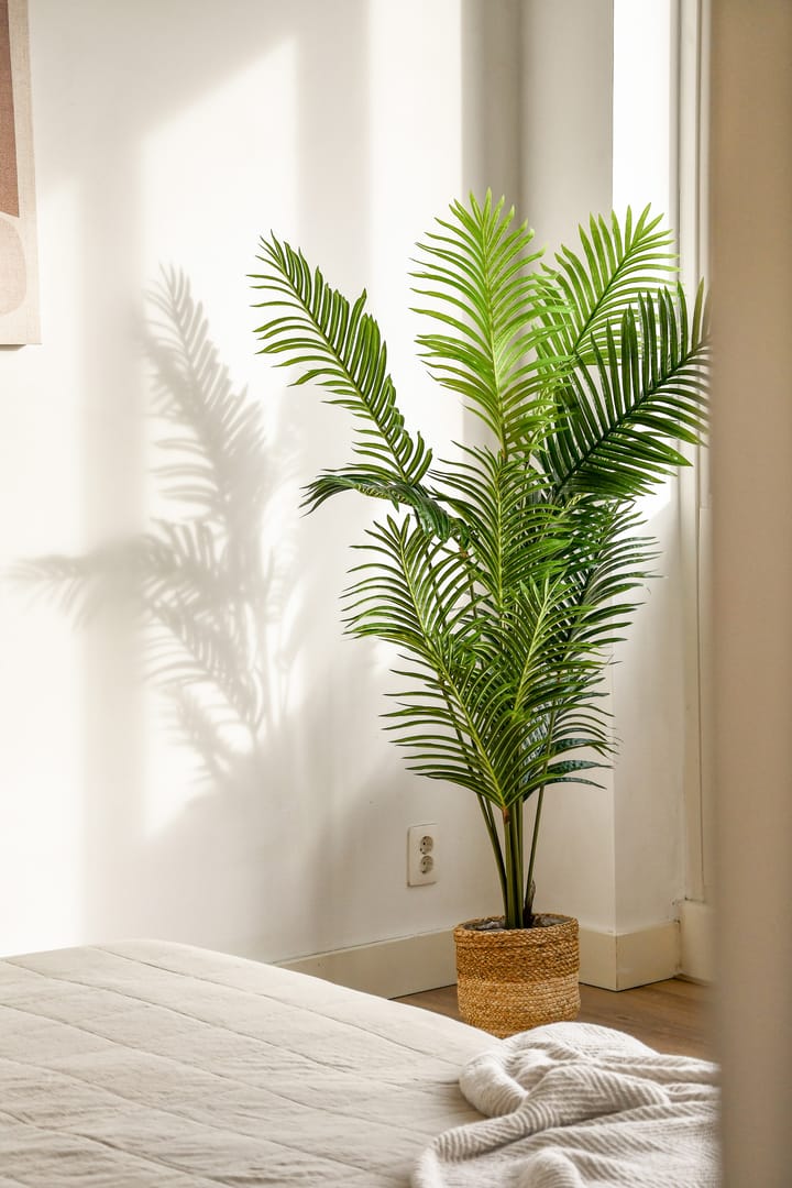 Foto 14 van Rijswijkstraat 141-A