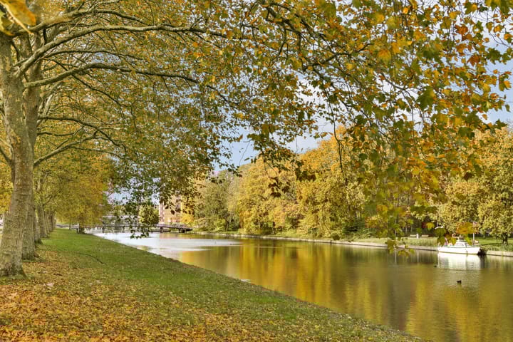 Foto 35 van Rijswijkstraat 141-A