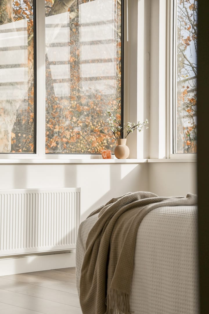 Foto 23 van Rijswijkstraat 141-A