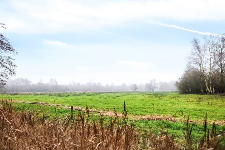 Foto 3 van Hoge Dijk 7