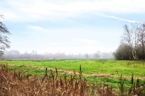 Hoge Dijk 7 tertiary image