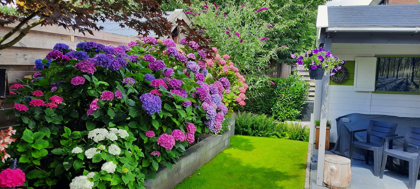 Foto 20 van Laan der Kruisheren 51